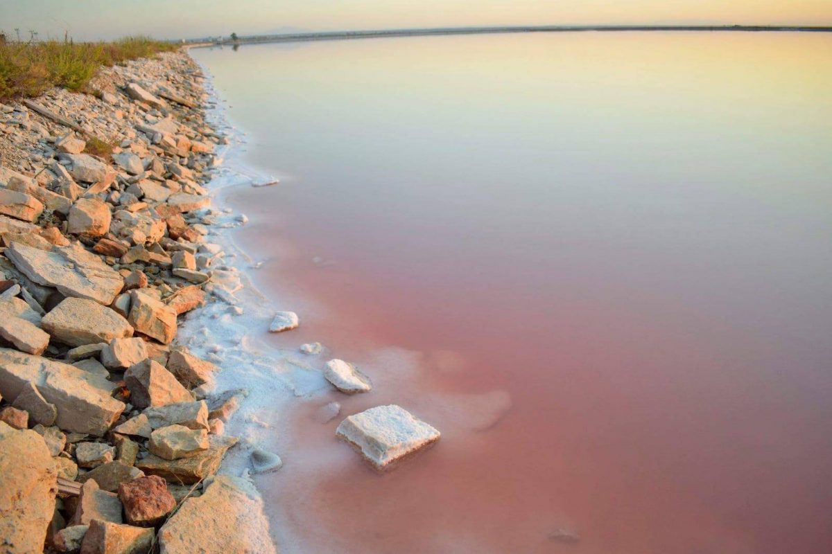 Saline di Margherita di Savoia (escursione)